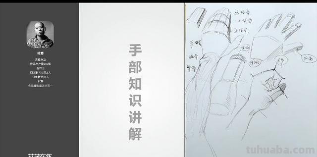 速写手的结构速写手的结构图 速写手的结构速写手的结构图