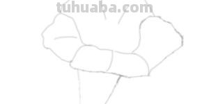 速写植物花速写植物花卉