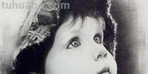 速写植物花速写植物花卉