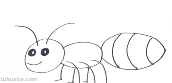 蚂蚁的速写蚂蚁速写图片