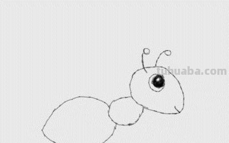 蚂蚁的速写蚂蚁速写图片 蚂蚁的速写蚂蚁速写图片