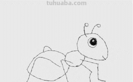 蚂蚁的速写蚂蚁速写图片 蚂蚁的速写蚂蚁速写图片