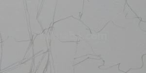 迎客松速写迎客松速写图片