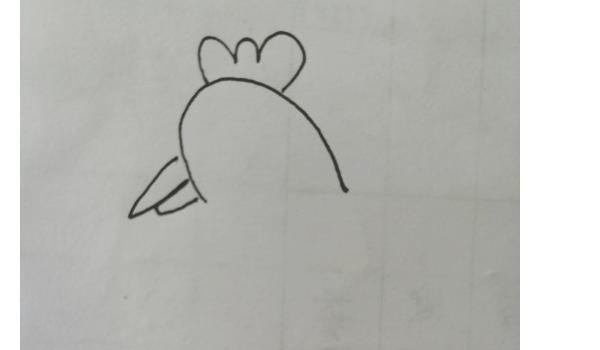 速写动物鸡动物鸡速写图片临摹高清 速写动物鸡动物鸡速写图片临摹高清