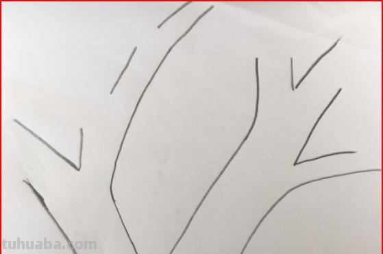树干速写画技巧树干速写画技巧图片