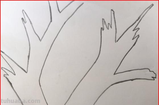 树干速写画技巧树干速写画技巧图片