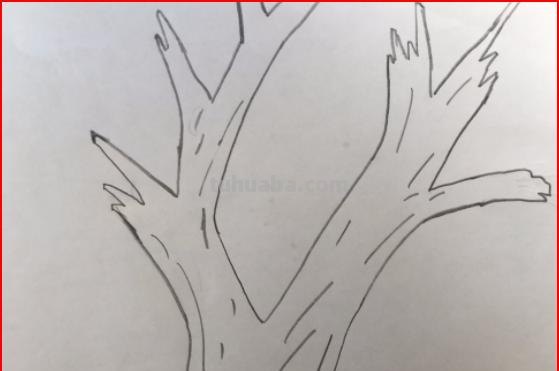 树干速写画技巧树干速写画技巧图片
