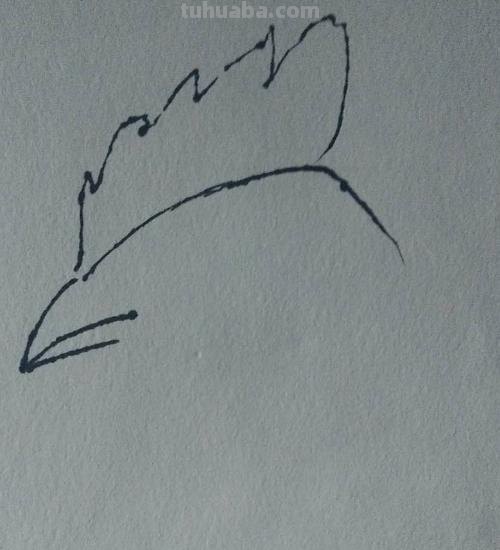 动物速写鸡动物速写鸡的动态图片 动物速写鸡动物速写鸡的动态图片