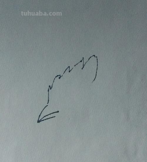 动物速写鸡动物速写鸡的动态图片 动物速写鸡动物速写鸡的动态图片