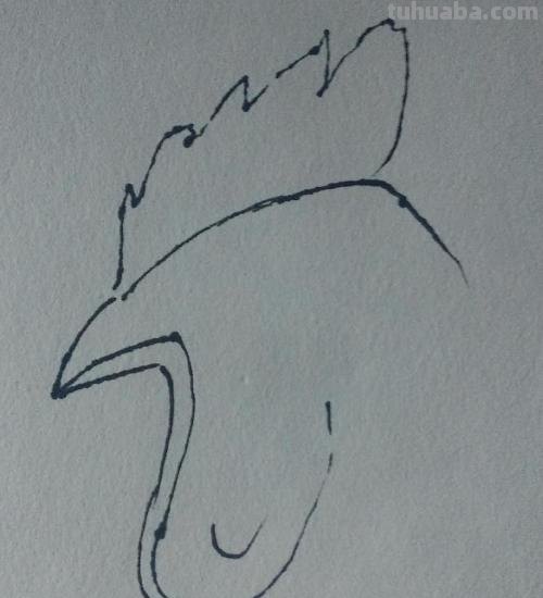 动物速写鸡动物速写鸡的动态图片 动物速写鸡动物速写鸡的动态图片