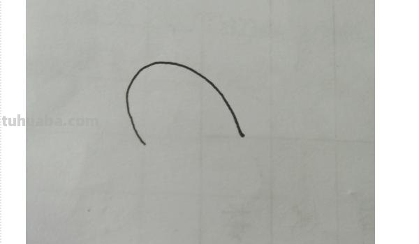 动物速写鸡动物速写鸡的动态图片 动物速写鸡动物速写鸡的动态图片