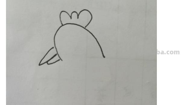 动物速写鸡动物速写鸡的动态图片 动物速写鸡动物速写鸡的动态图片