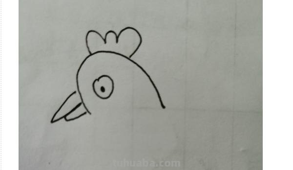 动物速写鸡动物速写鸡的动态图片 动物速写鸡动物速写鸡的动态图片