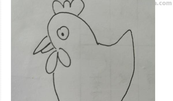 动物速写鸡动物速写鸡的动态图片 动物速写鸡动物速写鸡的动态图片