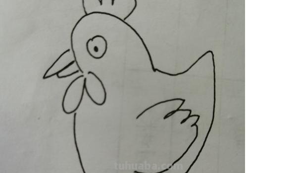 动物速写鸡动物速写鸡的动态图片 动物速写鸡动物速写鸡的动态图片