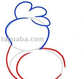 动物速写鸡动物速写鸡的动态图片 动物速写鸡动物速写鸡的动态图片