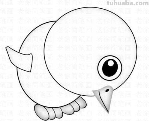 动物速写鸡动物速写鸡的动态图片 动物速写鸡动物速写鸡的动态图片