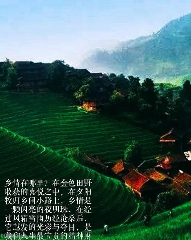 速写与随笔速写与随笔作者 速写与随笔速写与随笔作者