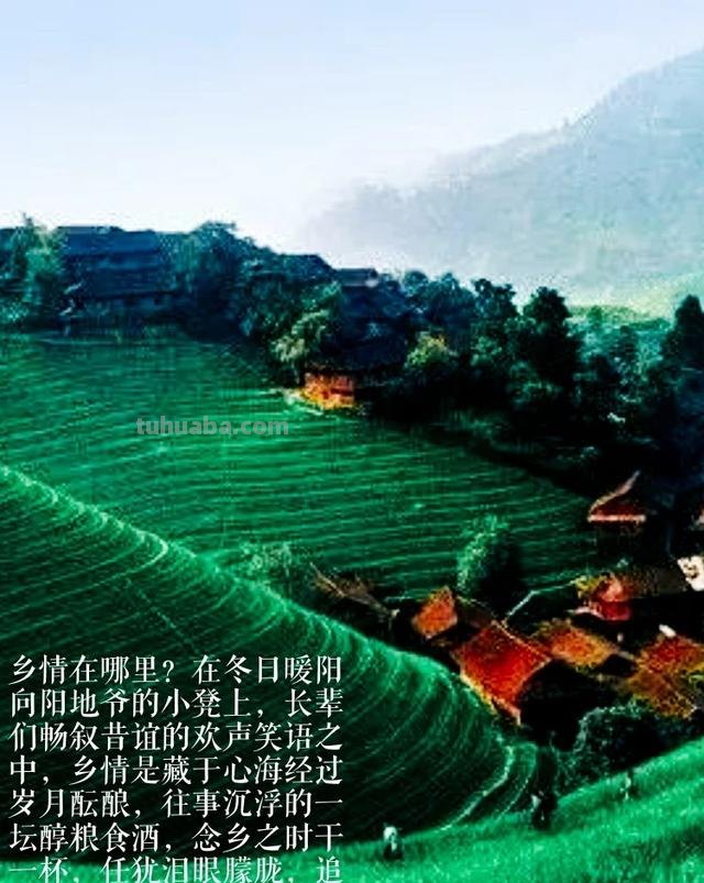 速写与随笔速写与随笔作者 速写与随笔速写与随笔作者
