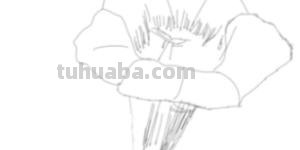 花手绘速写手绘花卉速写