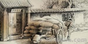 花手绘速写手绘花卉速写