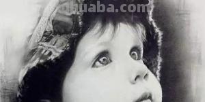 花手绘速写手绘花卉速写