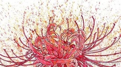 速写彼岸花一步一步教你画彼岸花速写 速写彼岸花一步一步教你画彼岸花速写