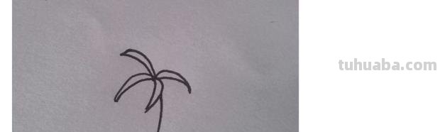 速写彼岸花一步一步教你画彼岸花速写 速写彼岸花一步一步教你画彼岸花速写