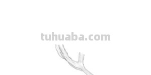 速写写生花速写写生花卉