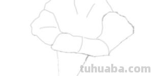 速写写生花速写写生花卉