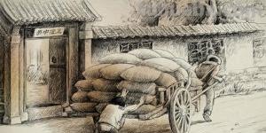 速写写生花速写写生花卉