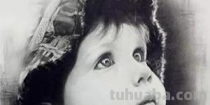 速写写生花速写写生花卉