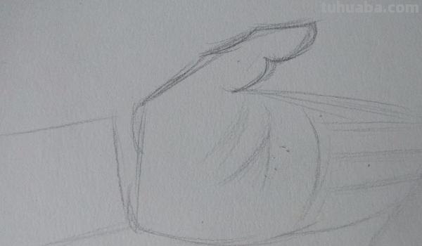 手速写教学手 速写
