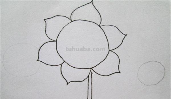 植物线描速写植物线描速写图片