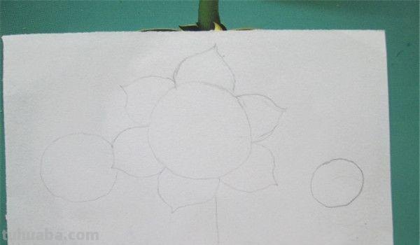 植物线描速写植物线描速写图片 植物线描速写植物线描速写图片