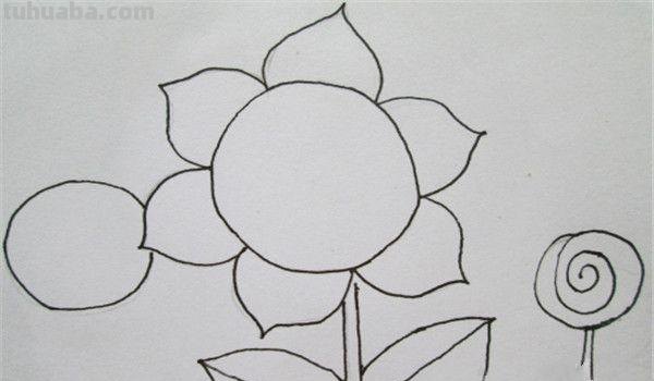 植物线描速写植物线描速写图片 植物线描速写植物线描速写图片