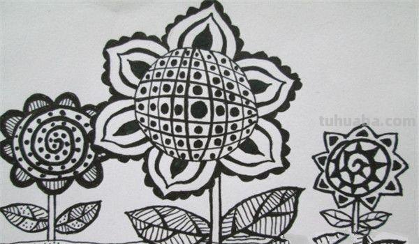 植物线描速写植物线描速写图片 植物线描速写植物线描速写图片