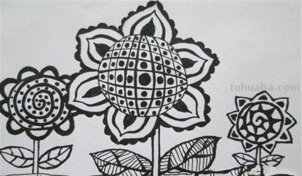 植物线描速写植物线描速写图片 植物线描速写植物线描速写图片