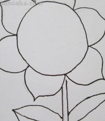 植物线描速写植物线描速写图片 植物线描速写植物线描速写图片