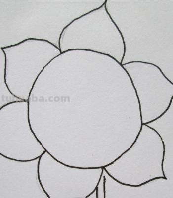 植物线描速写植物线描速写图片 植物线描速写植物线描速写图片