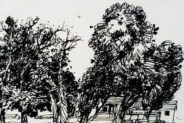 钢笔速写现代建筑钢笔速写现代建筑高清