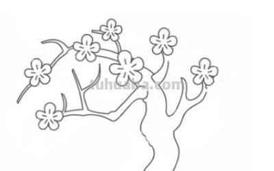 速写桃花树速写桃花树图片 速写桃花树速写桃花树图片