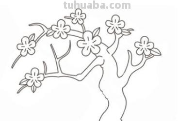 速写桃花树速写桃花树图片 速写桃花树速写桃花树图片