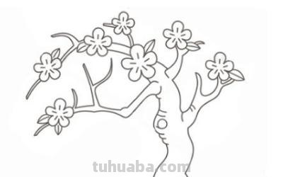 速写桃花树速写桃花树图片 速写桃花树速写桃花树图片