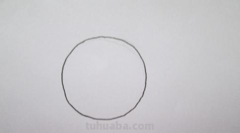 速写太阳花太阳花素描