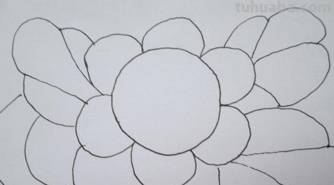 速写太阳花太阳花素描 速写太阳花太阳花素描