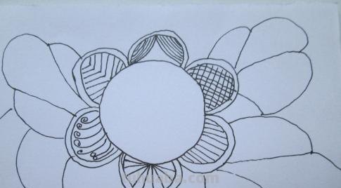 速写太阳花太阳花素描 速写太阳花太阳花素描