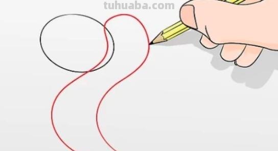 动物速写蛇动物素描蛇