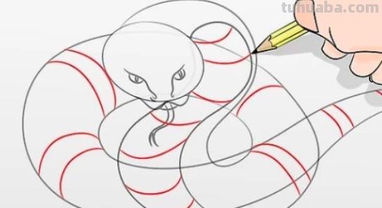 动物速写蛇动物素描蛇