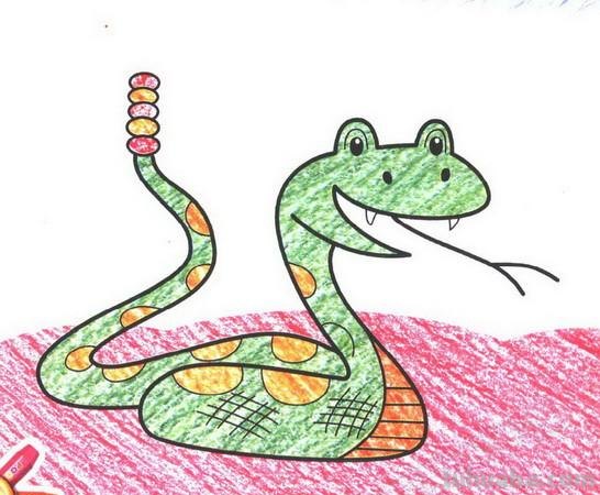 动物速写蛇动物素描蛇
